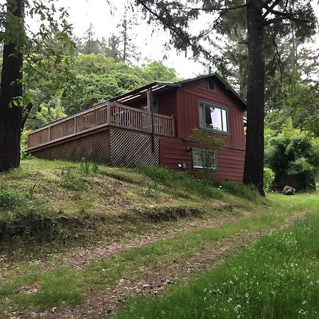 Avenue Of The Giants Caraway Cottage Miranda Eksteriør billede