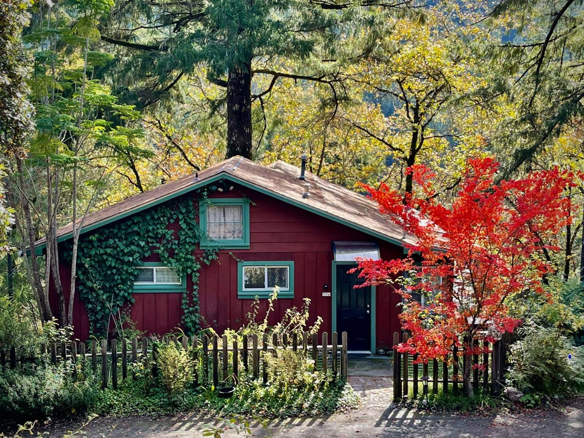 Avenue Of The Giants Caraway Cottage Miranda Eksteriør billede
